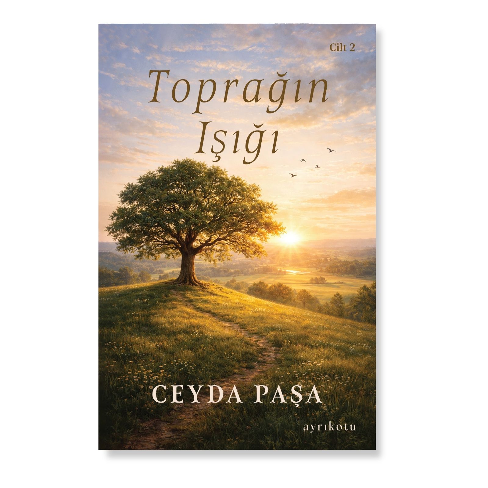 kitaplar - 2026-04-09T220717.531 Toprağın Işığı - Görsel 1