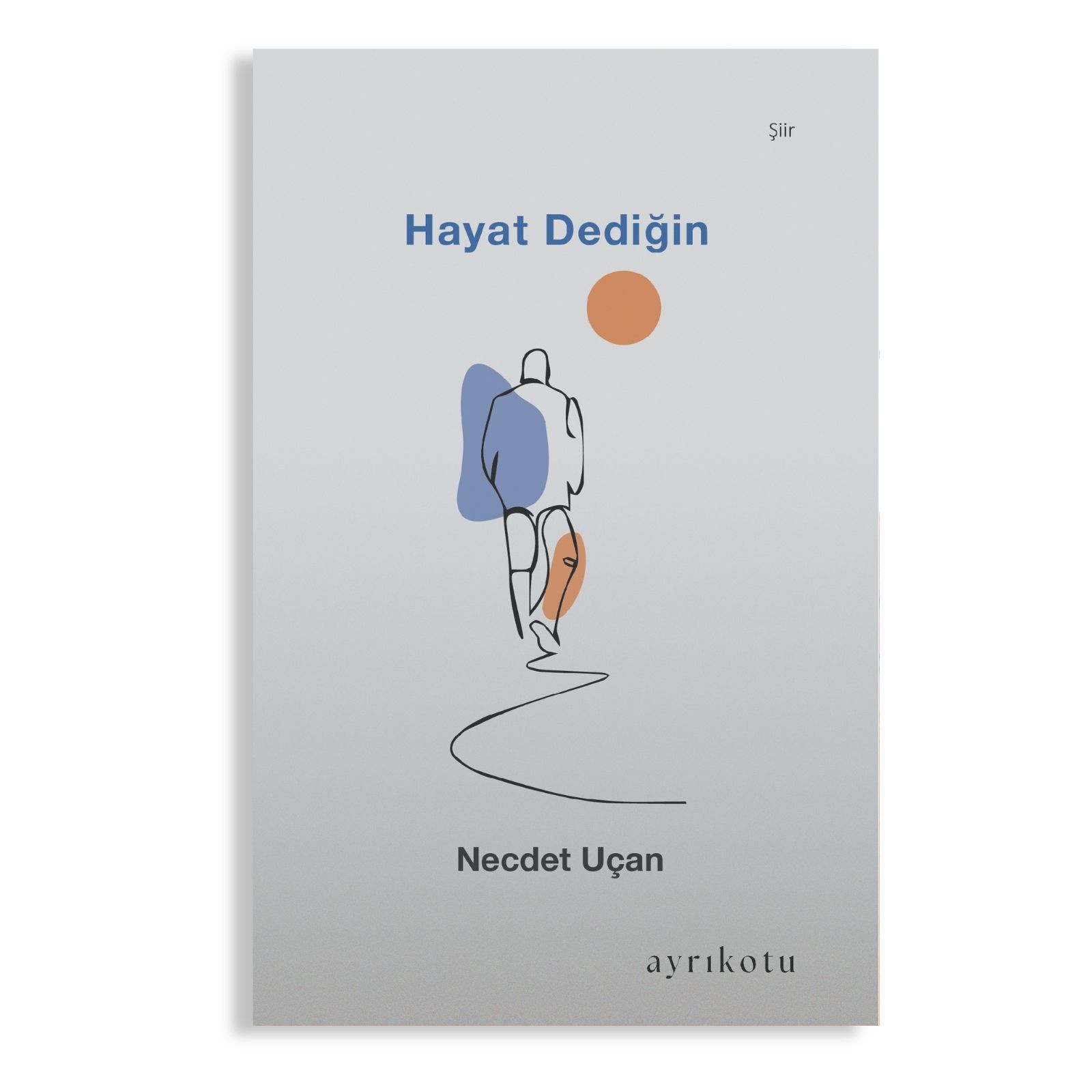 kitaplar - 2026-04-14T235253.181 Hayat Dediğin - Görsel 1