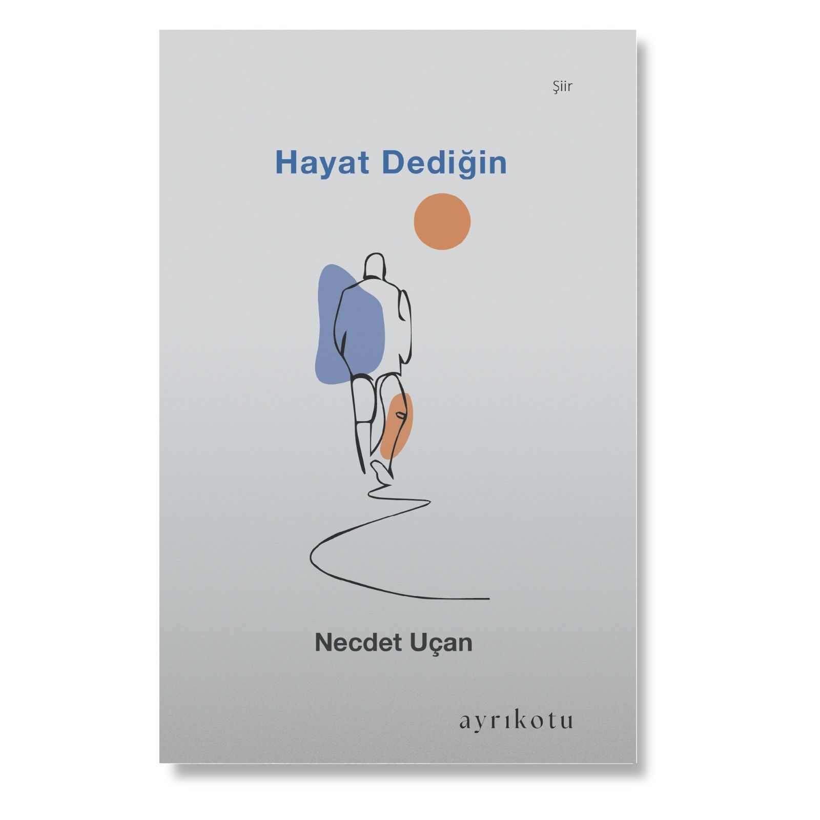 Hayat Dediğin